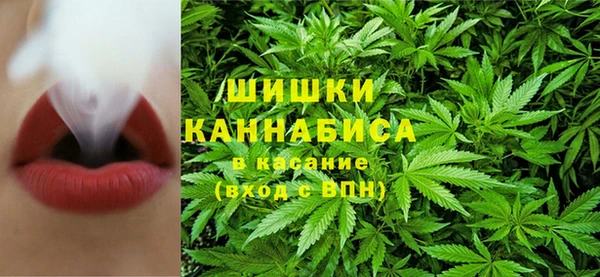 spice Бронницы