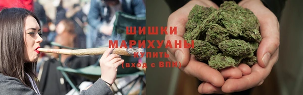 соль ск Бородино