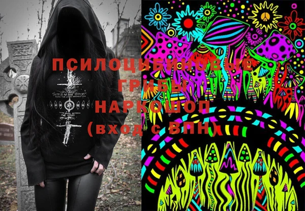 spice Бронницы