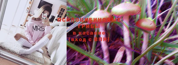 spice Бронницы