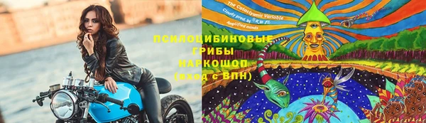 соль ск Бородино