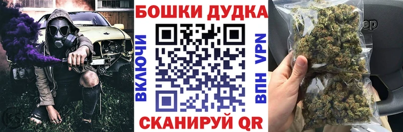где купить   Сыктывкар  Конопля ГИДРОПОН 